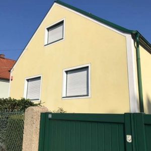 Fassadenreinigung vorher